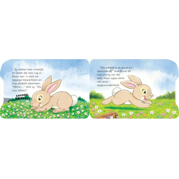 ROSIE DIE HASIE STORIETYD BOEK Product Image