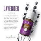 Lavender Essential Oil 5ml Product Thumbnail