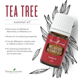 Tea Tree Essential Oil 5ml Product Images